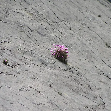 Malinbeg Vandrerhjem Glencolumbkille