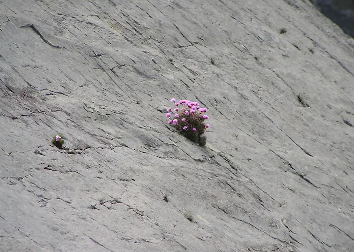 Malinbeg Хостел Гленколемкилл